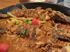 -老板恋上鱼(恒隆广场店)