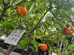 -杭州我们家餐厅(江和美店)
