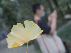 -成都杜甫草堂博物馆