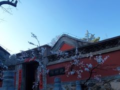 -潭柘寺景区