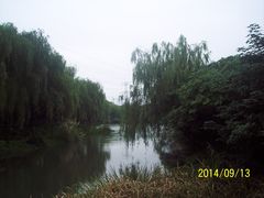 -昆山城市生态森林公园