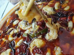 -蜀都丰 正宗水煮鱼(建德天城店)