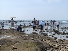 -青岛第二海水浴场