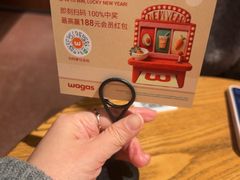 -Wagas沃歌斯(枫蓝国际店)