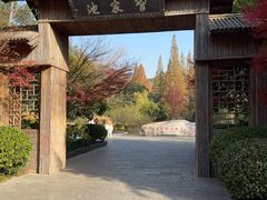 -习家池