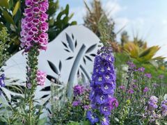 -海心沙亚运公园