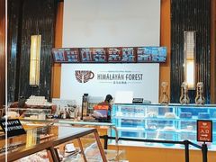 -喜马拉雅森HIMALAYAN FOREST