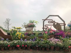 -同里国家湿地公园