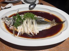 -宁波柏悦酒店·钱湖渔港