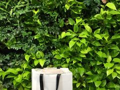 -Seesaw Coffee(环贸iapm店)