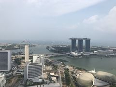 -新加坡瑞士史丹福酒店