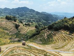 -紫鹊界梯田景区