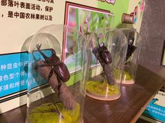 -正佳雨林生态植物园