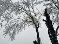 -宝鼎风景区