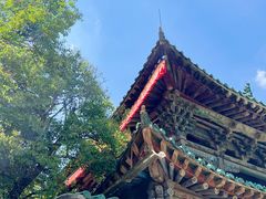 -塔尔寺