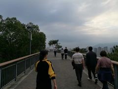-金鸡山公园