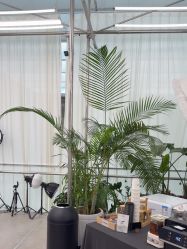 -BOF HAIR BY HONTO