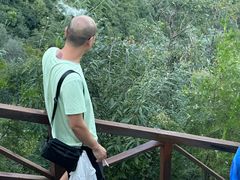-大岭沟猕猴桃谷风景区