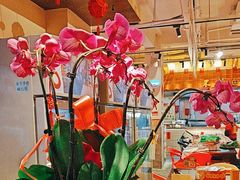 -九村烤脑花(大石坝总店)