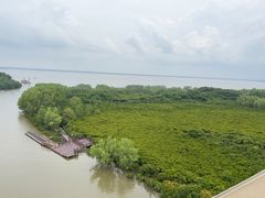 -东寨港红树林旅游区