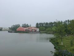 -上海长兴岛郊野公园