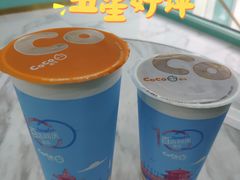 -CoCo都可(台东和兴店)