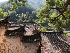 -杨家堂村