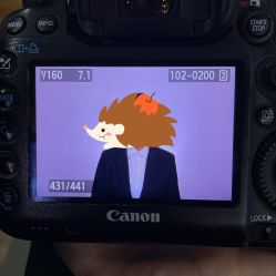 -苏薇摄影·照相馆