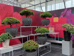 -上海鲜花港
