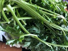 -果松木炭酸菜铜火锅·外婆参鸡汤