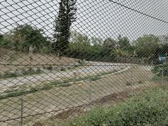 -深圳野生动物园