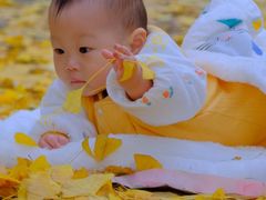 -森林公园(尖草坪区)