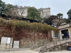 -上海佘山国家森林公园西佘山园