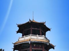 -清溪森林公园