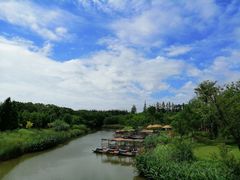 -上海长兴岛郊野公园