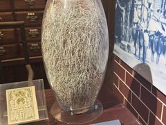 -二沙岛-广东华侨博物馆