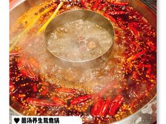 -谭鸭血老火锅(漳州路店)