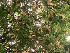 -南丰汇(新港东路店)