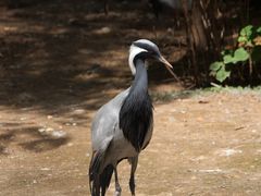 -青藏高原野生动物园