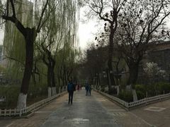 -文瀛公园