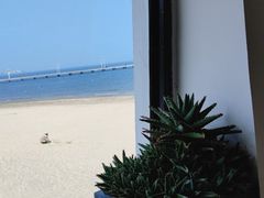 -ChanDu躔度咖啡(灯塔店)