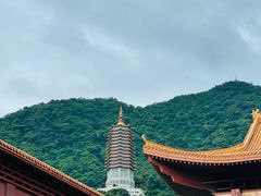 -深圳仙湖植物园