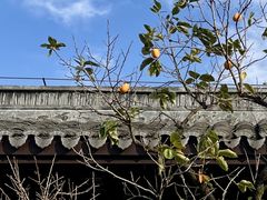 -杭州西湖柳莺里酒店·闻莺厅