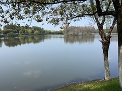 -艾溪湖湿地公园