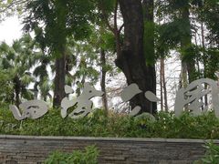 -四海公园(南山区)