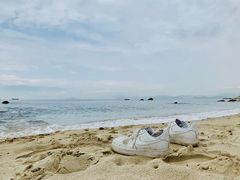 -玫瑰海岸文化旅游度假区