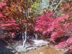 -本溪老边沟风景区