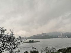 -金盆阿嬷香菇茶叶蛋(玄光店)