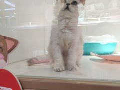 -龟与熊猫宠物公园(南坪店)