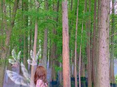 -东湖落雁景区